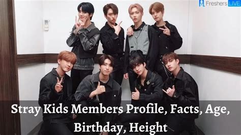 skz members height|Stray Kids Members Profile & Facts